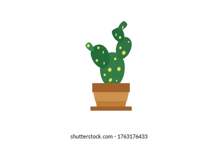 Cute and beautiful cactus for decoration,Vector flower concept.