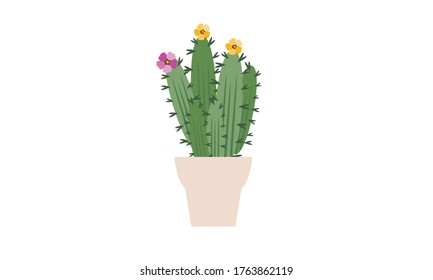 Cute and beautiful cactus for decoration,Vector flower concept.