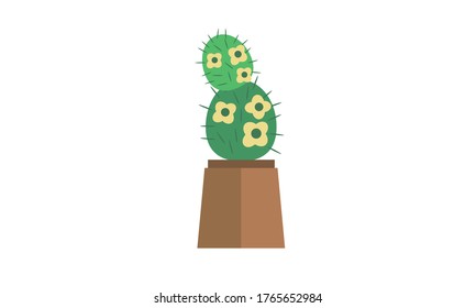 Cute and beautiful cactus for decoration,Vector flower concept.