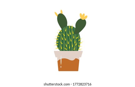 Cute and beautiful cactus for decoration,Vector flower concept.