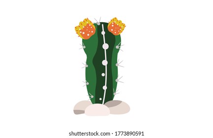 Cuidados y hermosos cactus para la decoración,Concepto de flor vectorial.