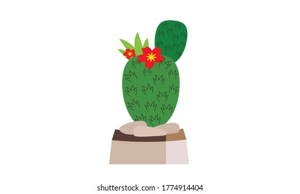 Cute and beautiful cactus for decoration,Vector flower concept.