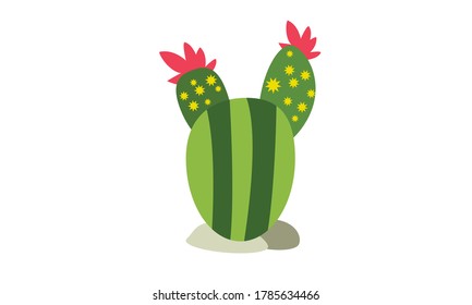 Cute and beautiful cactus for decoration,Vector flower concept.