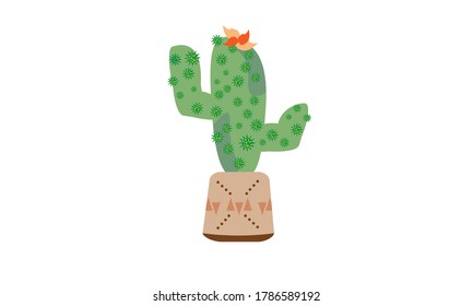 Cute and beautiful cactus for decoration,Vector flower concept.