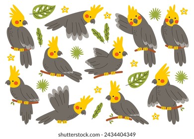 Lindo hermoso loro corella pájaro salvaje de la selva personaje de dibujos animados sentado en la rama del árbol, volando, hablando y gestos conjunto aislado. Ilustración de vector de mascota de papagayo africano con plumas exóticas