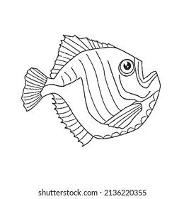 cute and beautiful fish line art images,outline drawing,vector art and illustrations art