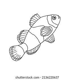 cute and beautiful fish line art images,outline drawing,vector art and illustrations art