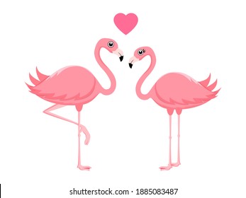 Cute beautiful flamingo couple standing with heart shape isolated