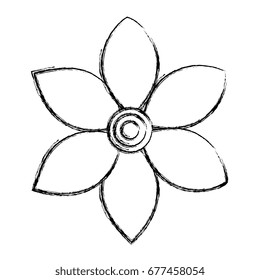 cute and beautiful flower