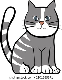 cute and beautiful gray cat with white pattern