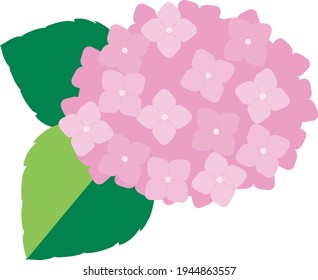 紫陽花 イラスト 和 Images Stock Photos Vectors Shutterstock