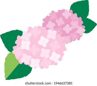 紫陽花 イラスト 和 Images Stock Photos Vectors Shutterstock