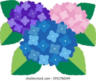 808 紫陽花 イラスト 和 Images Stock Photos Vectors Shutterstock