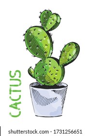 Cute and beautiful isolated vector illustration of green cactus in the pot on white background for decorative or print design. Cartoon floral hand drawn exotic plant.