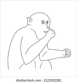 cute and beautiful Monkey line art images,outline drawing,vector art and illustrations art