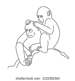 cute and beautiful Monkey line art images,outline drawing,vector art and illustrations art