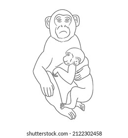 cute and beautiful Monkey line art images,outline drawing,vector art and illustrations art