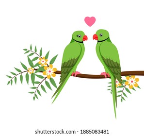 Cute beautiful parrot couple setting on tree with flowers and heart shape