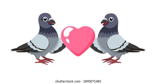 Cute beautiful pigeon couple holding heart shape isolated on white background