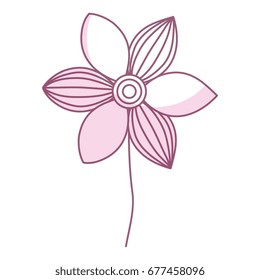 cute and beautiful pink flower