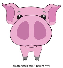 Cute beautiful pink pig with big nose on a white background