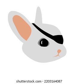 Cute beautiful rabbit pirate with white skin