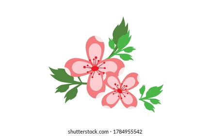 Cute and beautiful small flower for decoration,Vector flower concept.