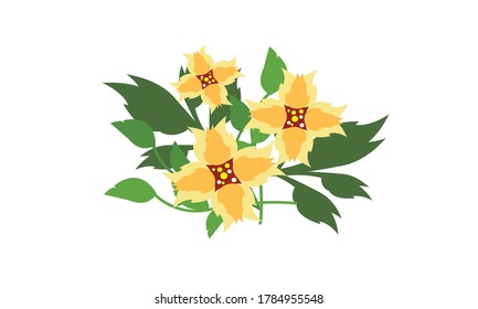 Cute and beautiful small flower for decoration,Vector flower concept.
