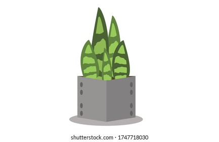 Cute and beautiful small  green leaves in pots for decoration,Vector flower concept.