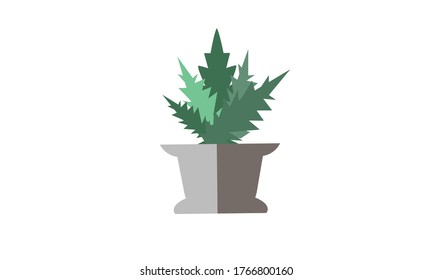 Cute and beautiful small  green leaves in pots for decoration,Vector flower concept.