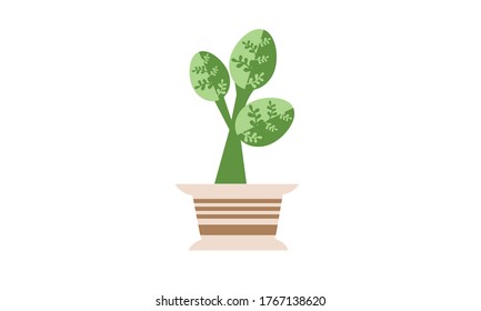 
Cute and beautiful small  green leaves in pots for decoration,Vector flower concept.