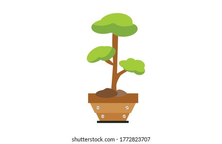 Cute and beautiful small  green leaves in pots for decoration,Vector flower concept.