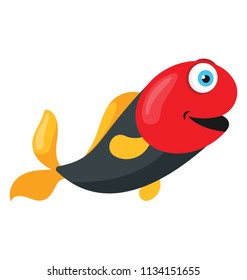 A cute beautiful small size fish to keep in aquarium characterizing type of rasbora fish 
