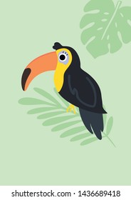Cute beautiful toucan