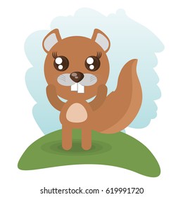 cute beaver animal wildlife