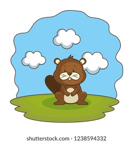 cute beaver in the camp