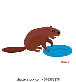 Cute beaver in cartoon style. Vector illustration of wild animal isolated on white background. Cute zoo alphabet.