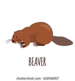 Cute beaver in flat style isolated on white background. Vector illustration. Forest animal. Cartoon beaver.