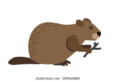 Cute   beaver in flat style on white background. Beaver cartoon character. Vector illustration