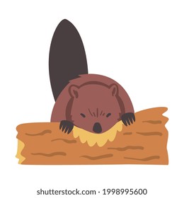 Cute Beaver Gnawing Log, Brawn Rodent Wild Mammal Animal Cartoon Vektorgrafik