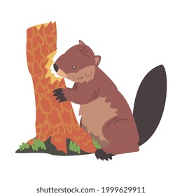 Cute Biber Gnawing Old Tree Trunk, Brown Rodent Wild Mammal Animal Cartoon Vektorgrafik