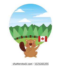 cute beaver holding flag of canada in forest