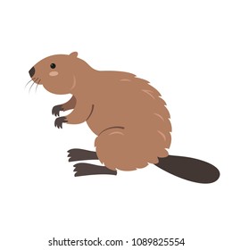 Cute beaver on white background. Vector illustration.