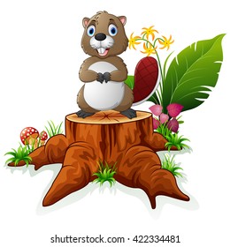 Cute beaver posing on tree stump