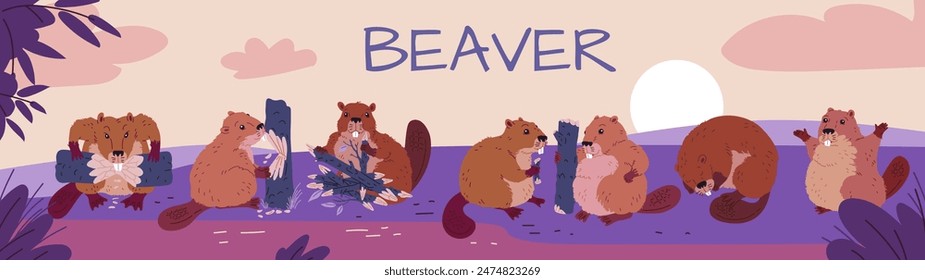 Niedliche Biber kauen Holz auf der flachen Vektorillustration des Flusses. Cartoon wilde Nagetiere setzen Fressen, nagen Baumstamm, schlafen, grüßen. Fauna Natur Banner Design