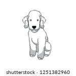 Cute Bedlington Terrier Cartoon Dog. Vector illustration of purebred bedlington terrier dog.