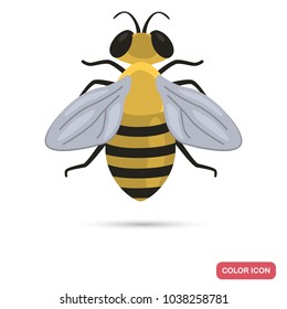 Cute bee color flat icon