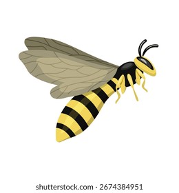 Uma abelha bonita isolada em um fundo branco.Ilustração vetorial de um inseto para tecidos,cartões postais,capas de notebook,mel.