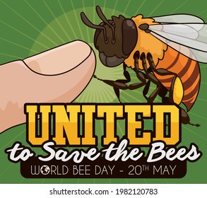 Cute bee saluting a human finger, symbolizing the union to save this special insects during World Bee Day celebration this 20th May.