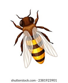 Cute bee sticker. Yellow and black striped insect with wings, bumblebee. Zoology and biology. Poster or banner for website. Cartoon flat vector illustration isolated on white background